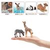 TOYMANY 12-Piece Wildlife Figure Set, Realistic Forest Animal Models, Popular Animal Toys, Birthday Gifts, Decorations, Christmas, New Year's
