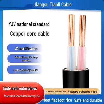 Jiangsu Tianli Flame Retardant Two-Core Pure Copper Power Cable with Full Package Inspection