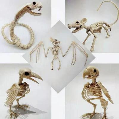 Oggetti di scena per casa stregata di Halloween: Scheletri di Scorpione, Pipistrello e Ragno per Arredamento Escape Room