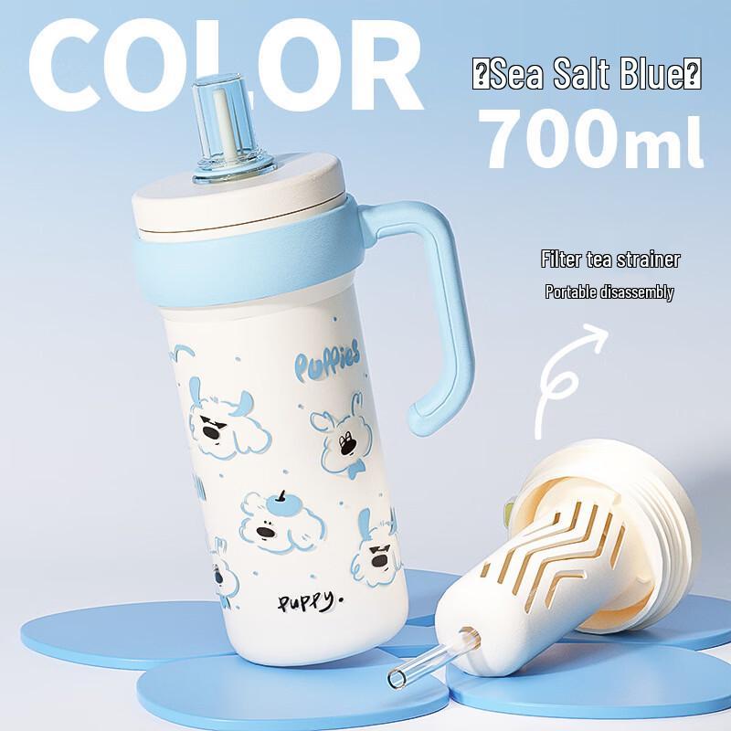 

OLOEY 316 Stainless Steel Insulated Tumbler with Handle & Straw