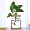 Eco-Bottle Hydroponic Glass Vase for Water Culture Micro-Landscape