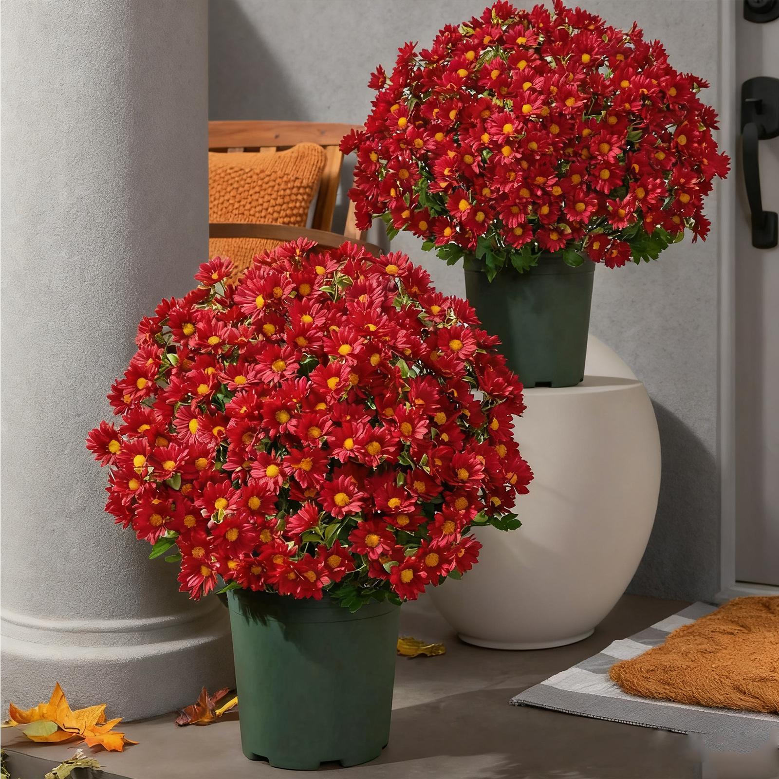 Realistisches Aussehen: Haustür, Veranda, Innenhof, Balkon, Künstliche Außenbereich, Sonnenuntergangsblumen One Size