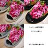 Medium Made in these healthy slippers feature a chenille weave and are suitable for feet up to They feature a rose open and are perfect for indoor and