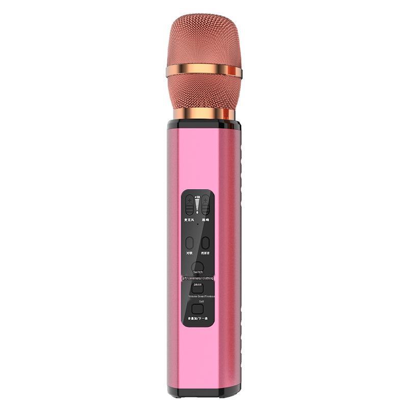 Wireless Bluetooth Microphone Speaker with Duet and Original Sound Cancellation for Home Singing