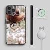 B-Beyond Cute Western Red Panda   Phone Case For iPhone17,16,15,14,13,12,11 Plus,Pro Max Magnetic For Magsafe Wireless Charging