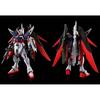 HG 1/144 Destiny Gundam SpecII [Final Battle Image Color] Buildable Plastic Model