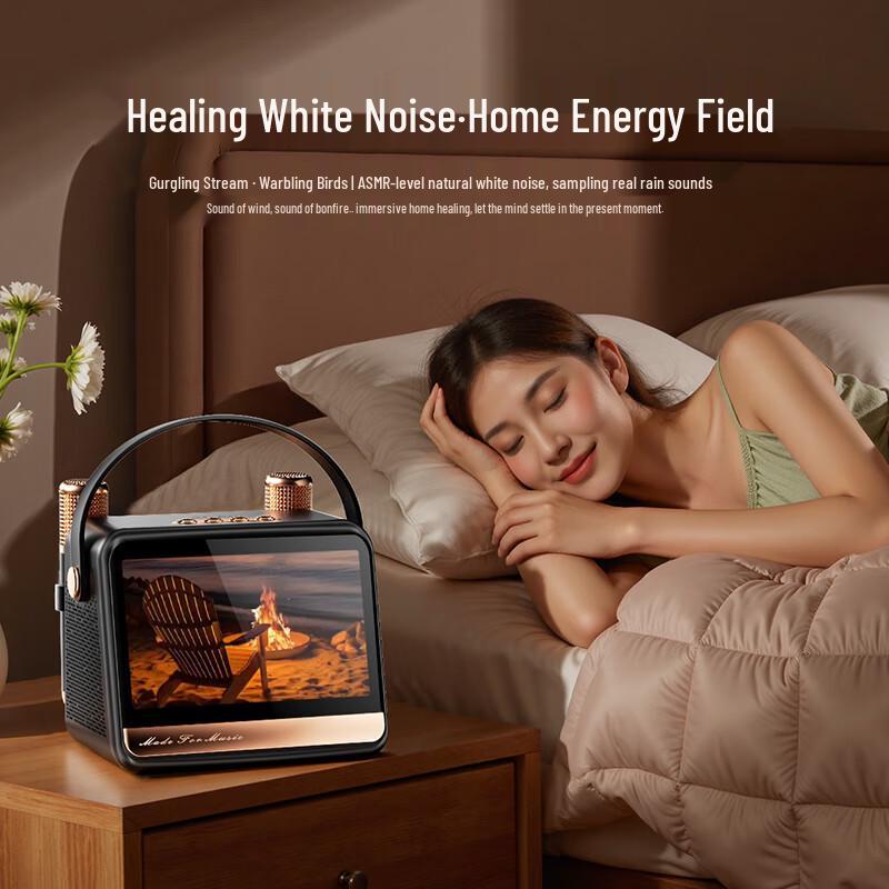 Soaiy GC520Pro KTV Karaoke Microphone Speaker