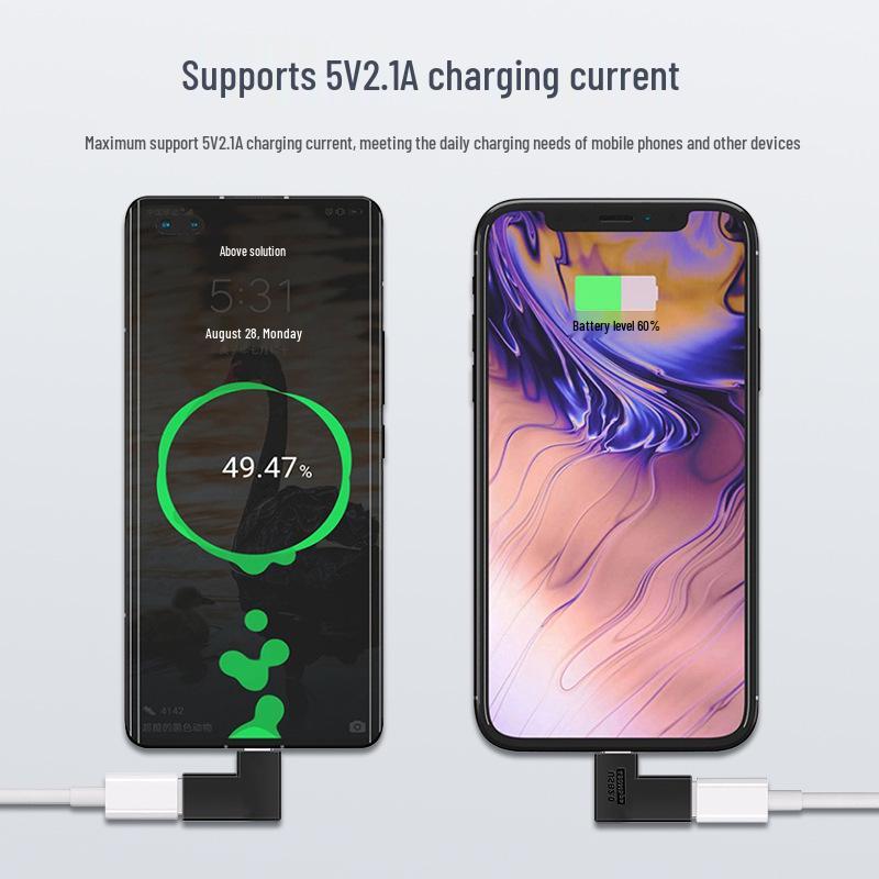 Type-C Female to Lightning Male Adapter for Charging & OTG