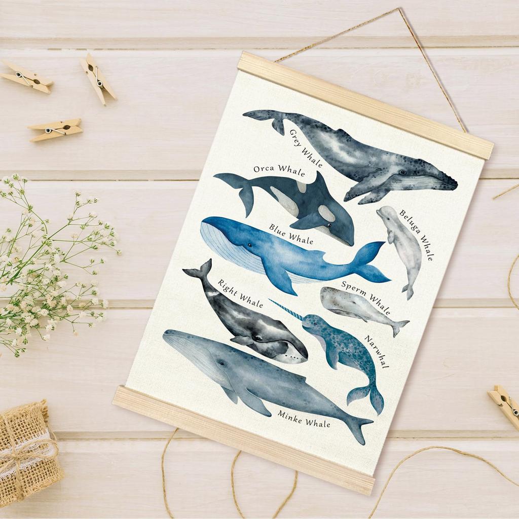 Lehrposter Wale Ozeantierposter für Kinderzimmer Spielzimmer Kinderzimmer Mit niedlichen Tieren Holzaufhängerrahmen
