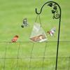 Clear Acrylic Bird Feeder with Window Suction Cup Hanging Chain Small Outdoor Bird Feeder for Wild Birds Finches