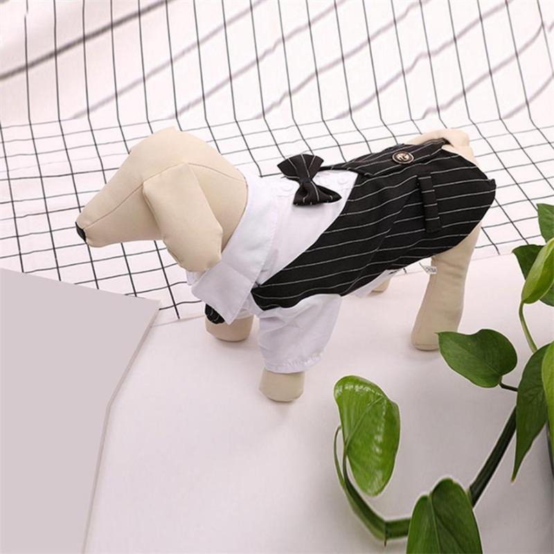 Exquisite Pet Dog Shirt Suit Fashion Cat Suit