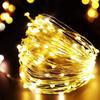 Constant Bright Copper Wire Lamp Battery Box 2m20 Lamp Holiday String Lights