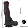Kvinnes svarte hest Dildo Overdimensjonert bakgård Analplugg Analplugg Onanienhet Simulering Dildo Silikon Myk Anal Expander