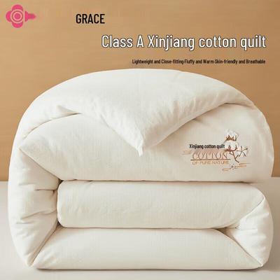 Xinjiang Cotton Blend Spring/Autumn Quilt