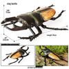 Large Soft Insect Model: Stag Beetle, Rhinoceros Beetle, Grasshopper, Mantis Toy for Kids