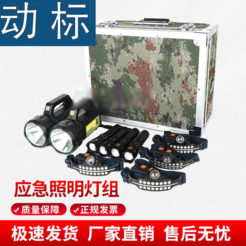 Dianbiao Outdoor Emergency Lighting Kit