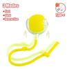 Smart Interactive Pet Ball Toy For Cats And Dogs