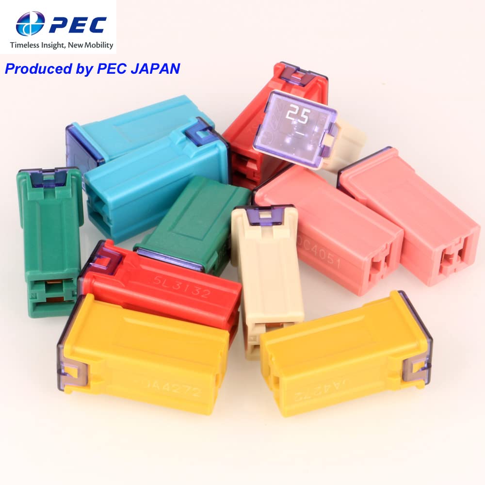 Kiligen 12 Pcs -24V Auto Tall Profile Jcase Box Type Fuse for Truck, Car, SUV, Boat (20A/25A/30A/40A/50A/60A,2 Each)