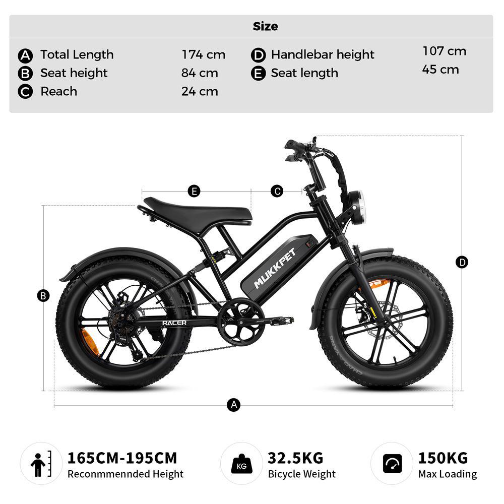 Mountain Bike Elettrica Motore 250W Ruote Grasse 20" Full Ammortizzata Bicicletta Elettrica per Adulti 48V 18Ah Freni a Doppio Disco 7 Velocità Velocità Massima 25Km/h