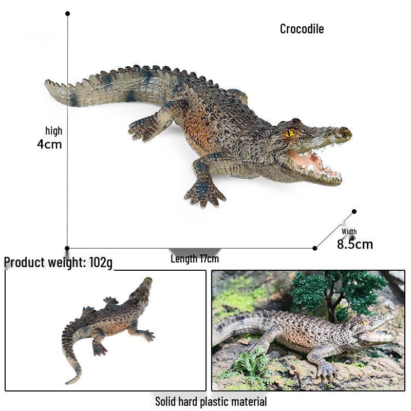 Pediatric Educational Wild Reptile Crocodile Model Toy and Desktop Decoration