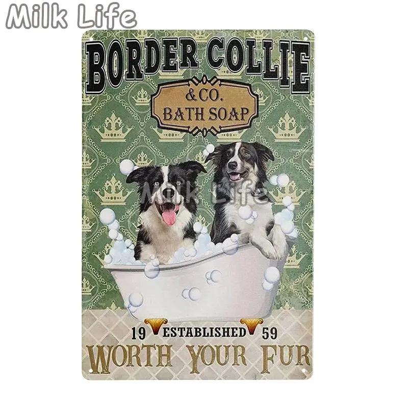 Metal Tin Sign Vintage Funny Border Collie Dog for Coffee Bathroom Toilet Pet Shop Home Sweet Home Sign Bedroom Art Wall Decor