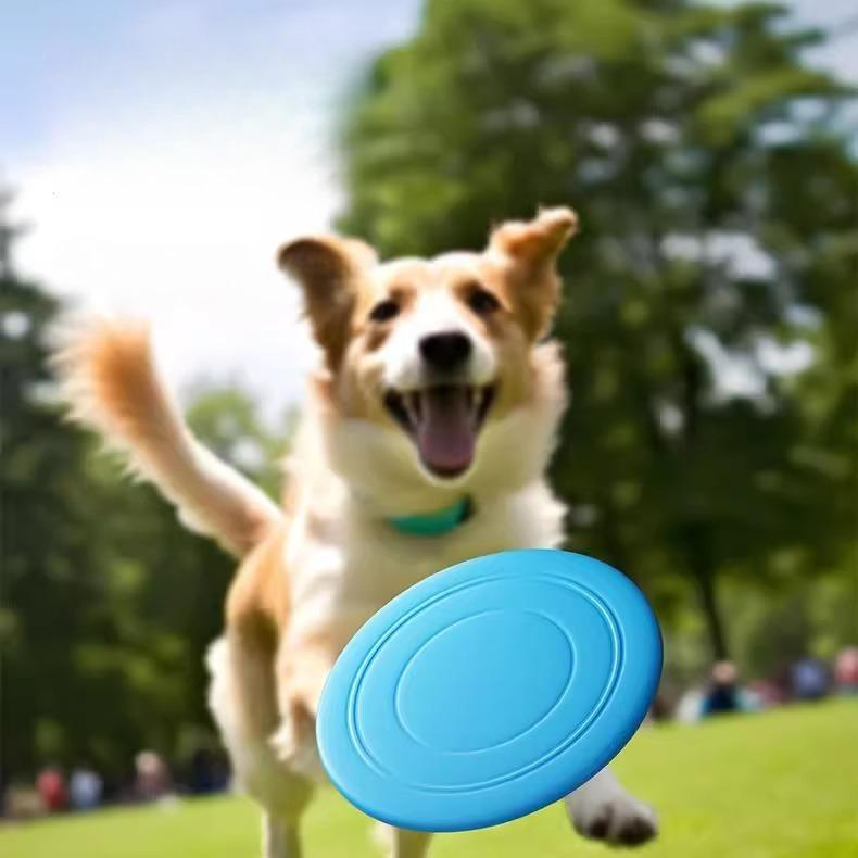 Pet Frisbee toy, can float medium and large dogs interactive bite-resistant bite-resistant dog training special Frisbee