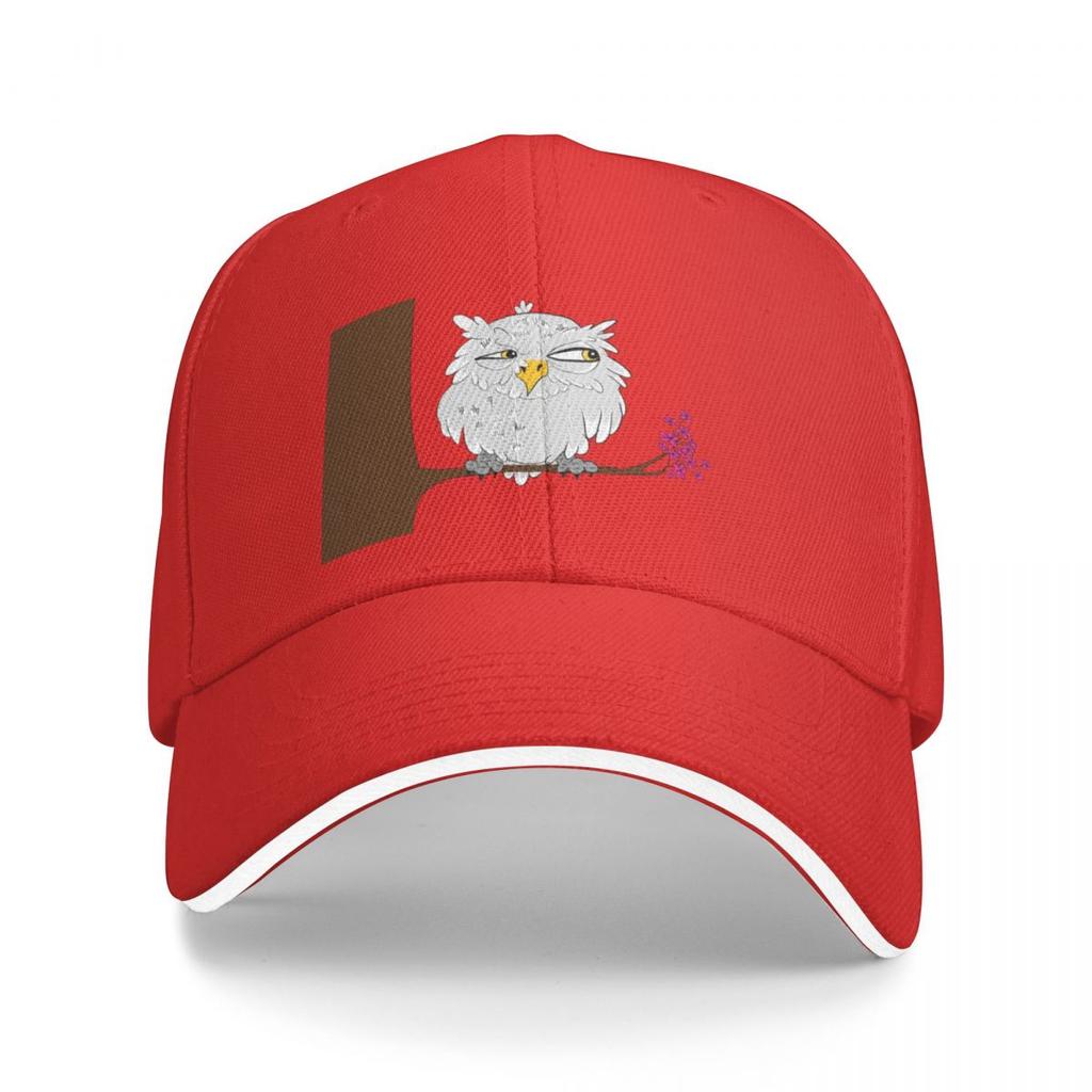 Suspicious Owl Baseball Cap Fluffy Hat Tea Hats Hats Man Women'S