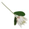Decorațiuni pentru casă – Flori decorative şi coroane de flori