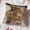 Animal Squirrel Cushion Cover Soft Washable Pillow Case Multi-Scene For Couch Bed Travel Office Use