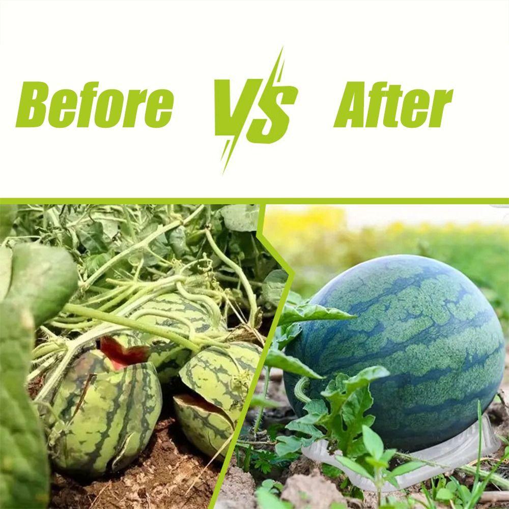 20/50/100pcs Transparent Fruit Plant Tray Fruit Protection Vagetable Support Tray Watermelon