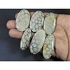 236Cts. Natural Fossil Coral Oval Cabochon Loose Gemstone 6Pcs Lot C-1895