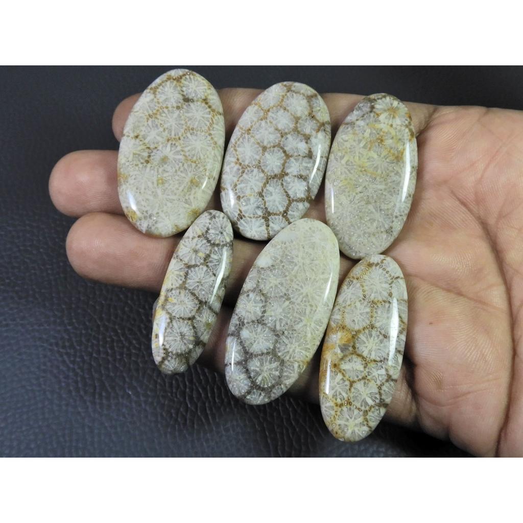 236Cts. Natural Fossil Coral Oval Cabochon Loose Gemstone 6Pcs Lot C-1895