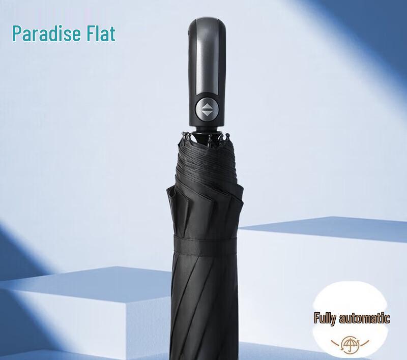 Tiantang Automatic 10-Rib Reinforced Travel Umbrella