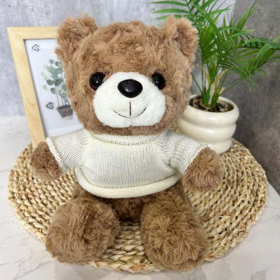 Teddy Bear Plush Toy with Hoodie Soft Stuffed Animal for Christmas Gift Cartoon Huggable Plush Doll for Kids