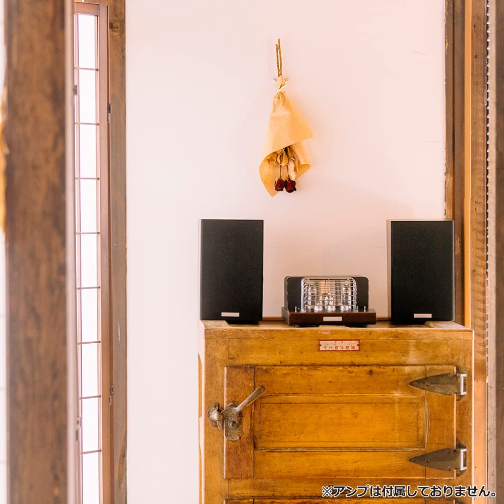 SOUNDWARRIOR Broadband Passive Radiator Equipped with 2WAY Speaker Wooden Small Bookshelf Speaker Droncone SW-SP1