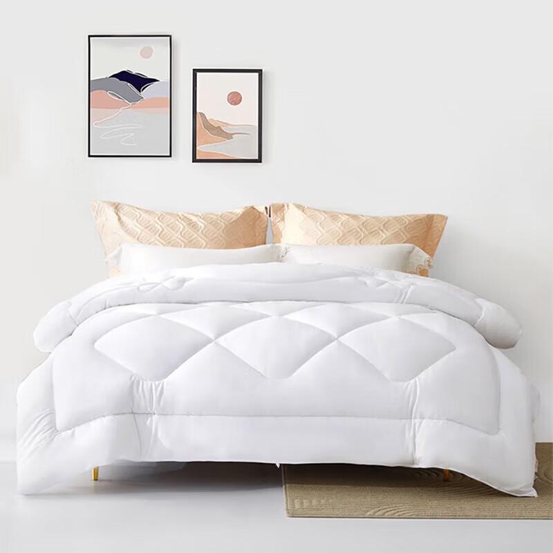 Mercure Home Antibacterial Seven-Hole Fiber Quilt