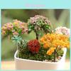 Encantadora Árvore de Decoração de Jardim em Miniatura para Mundos de Fadas Imaginativos