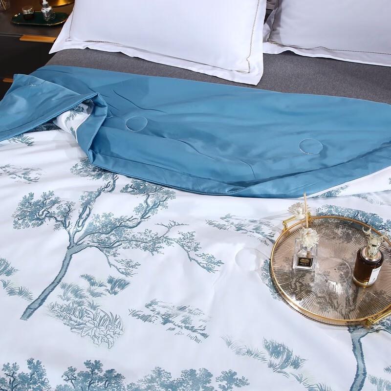 Youmengjiaju Kühlende Maulbeerseiden-Bettdecke