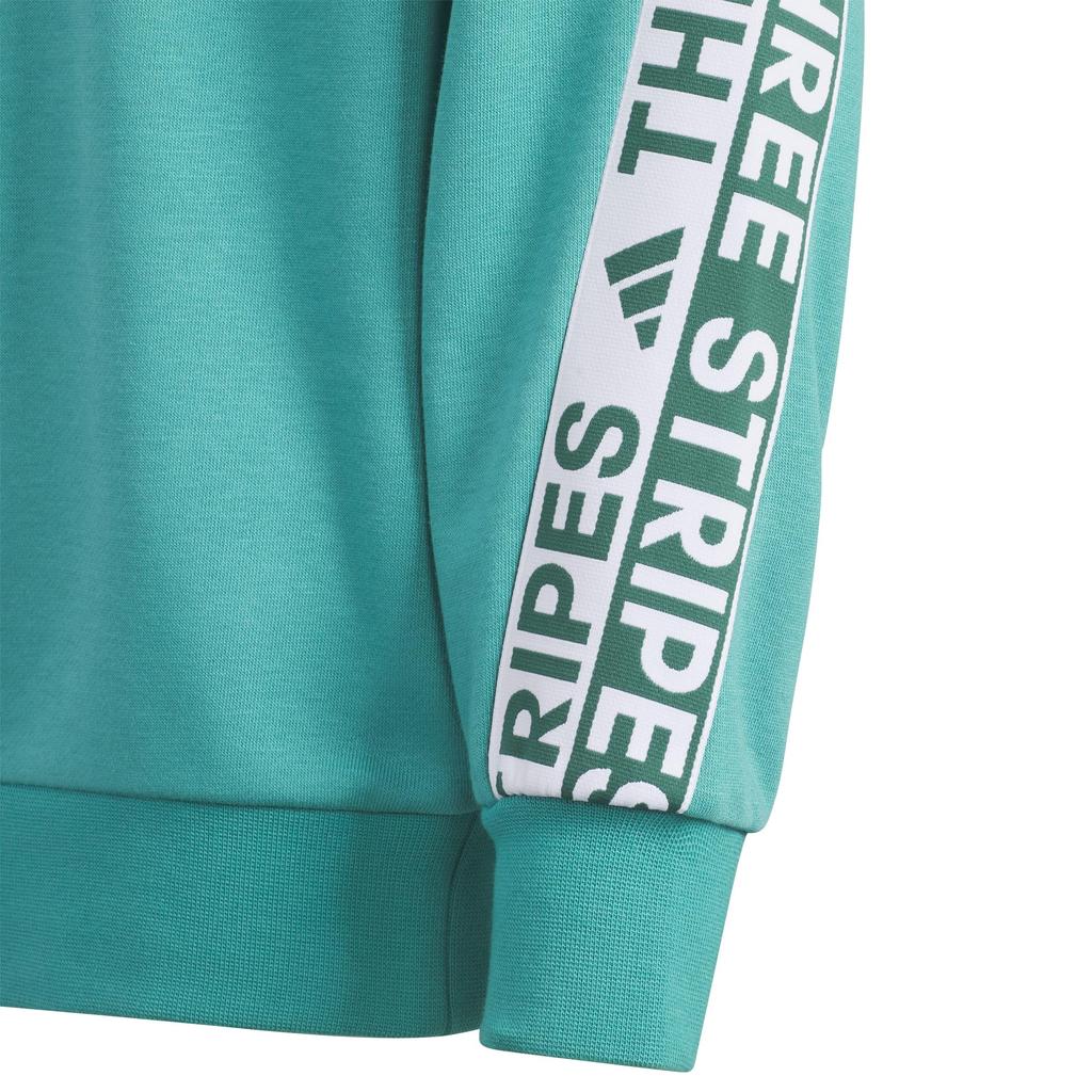 Adidas Word Crew Sweatshirt VM704 Pure Teal Kids' (KA3777)