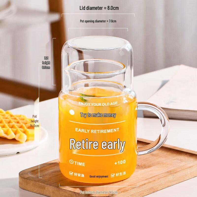 High Borosilicate Glass Water Bottle with Straw