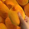 Hot Novelty Soft Simulated Pumpkin Bread Squeeze Release Tool Squeeze Squishy DIY Decompression Slow Rebound Hand Relax Gift
