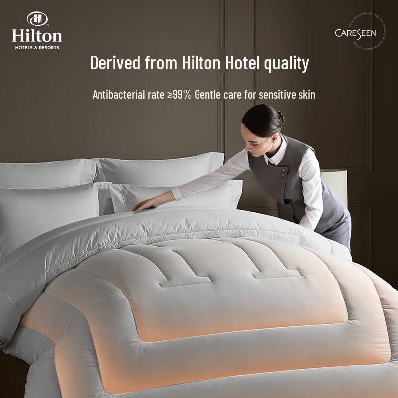 

Canasin Hilton Houston 1964 Series Winter Fiber Quilt
