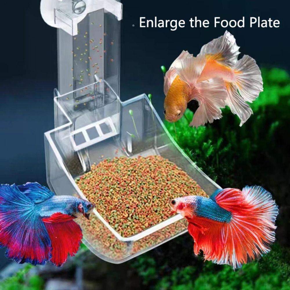Acrylic Aquarium Fish Tank Feeder Tube Transparent Feeder Bowl New Feeding Tool