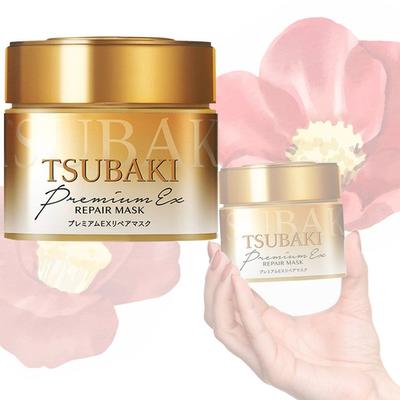 Premium EX Repair Mask 180g Hair Pack