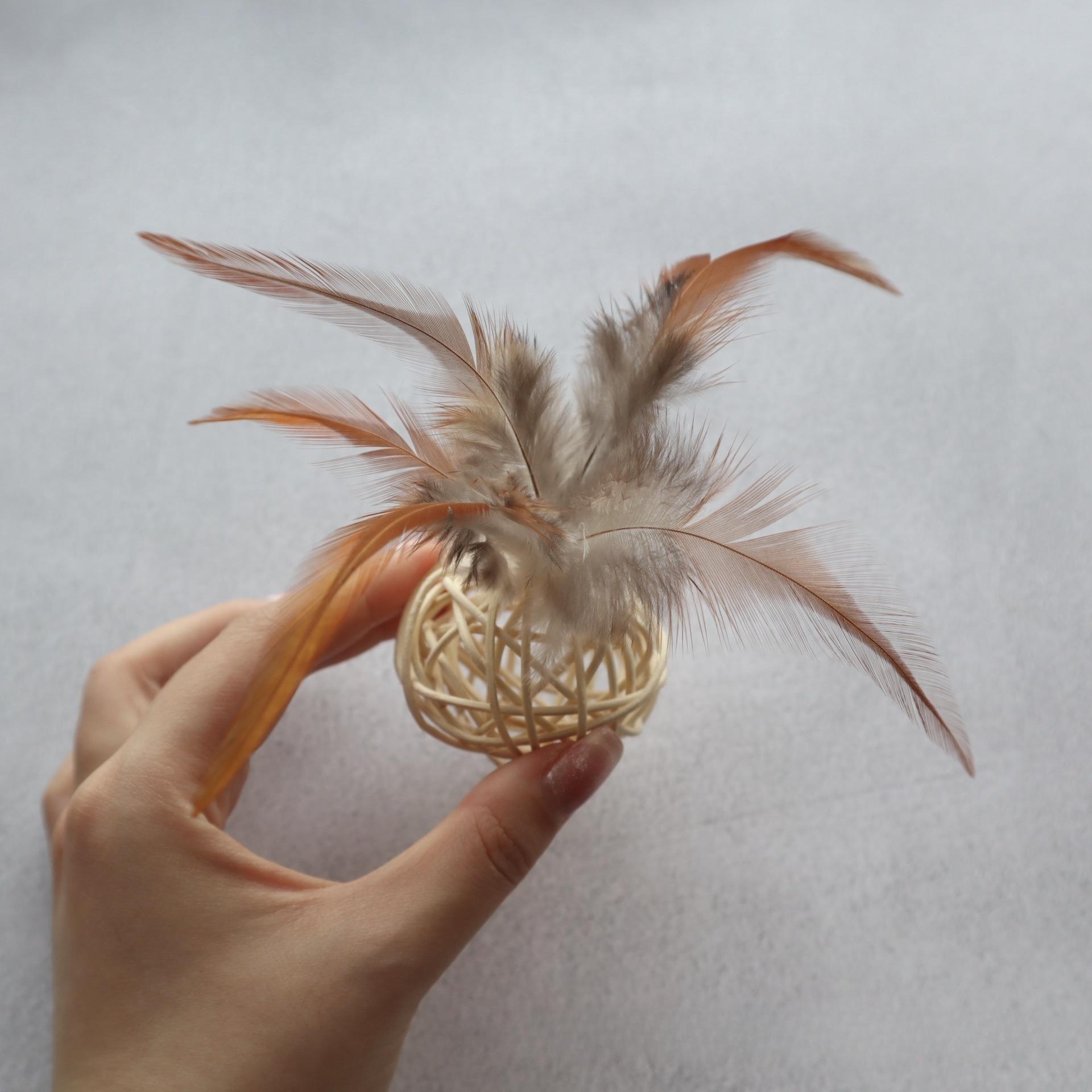 

2pcs/4pcs Pet Toy Ball Rattan Ball Hand-woven Feather Cat Toy Supplies