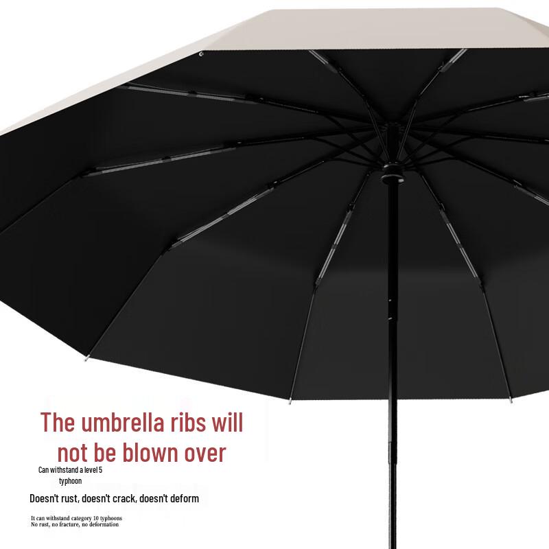 Fully Automatic 10-Rib Business Travel Umbrella