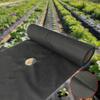 Non-Woven Weed Control Fabric - Orchard & Garden Ground Cover