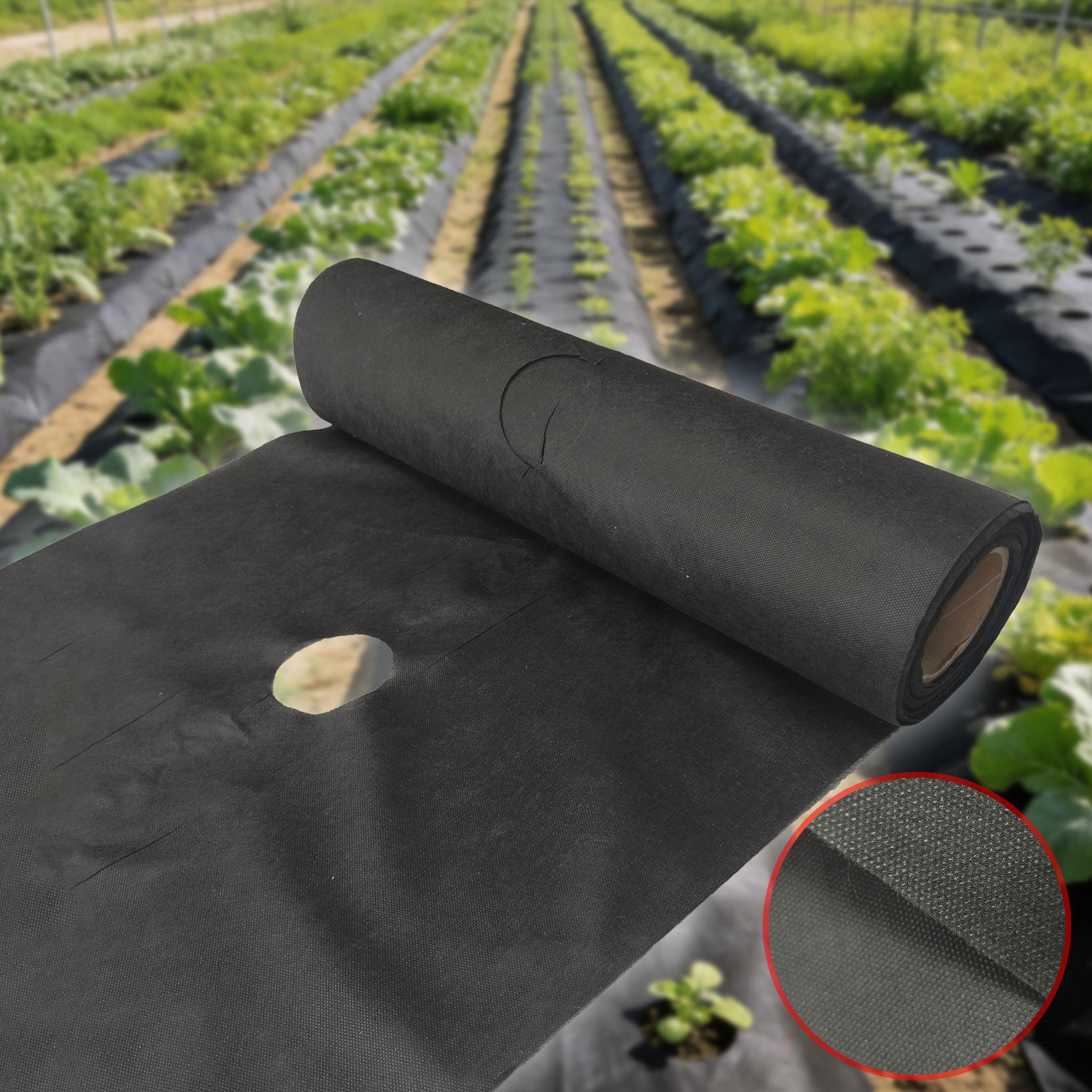 Non-Woven Weed Control Fabric - Orchard & Garden Ground Cover Black-60*500cm with 6 U-shaped nails