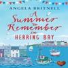 A Summer To Remember In Herring Bay by Angela Britnell Paperback Book 9781781890400