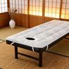 Professional SPA Massage Table Pad Beauty Salon Mattress with Elastic Bands Lightweight Foldable Facial Bed Cushion for SPA Use